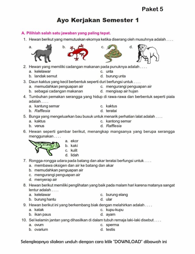 5 Fakta Mengejutkan Soal IPA Kelas 6 Semester 2 yang Selama Ini Jarang Diketahui