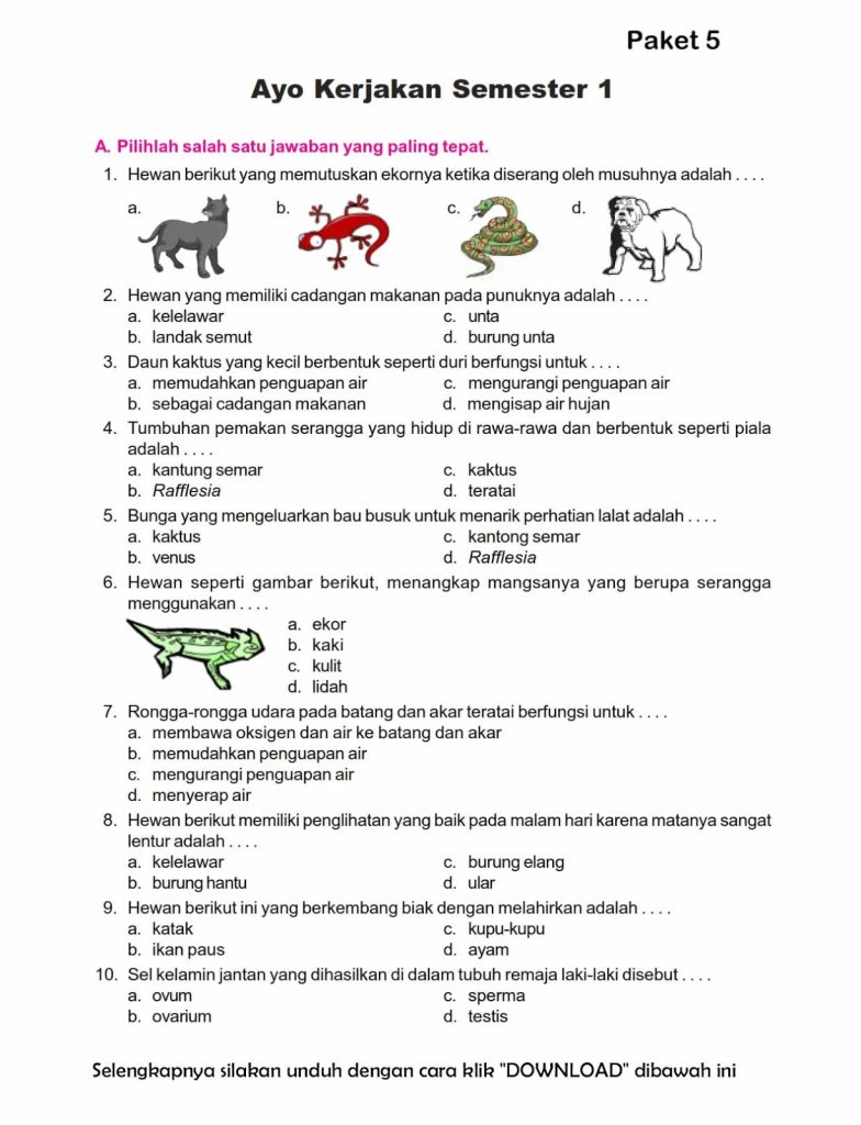 5 Fakta Mengejutkan Soal IPA Kelas 6 Semester 2 yang Selama Ini Jarang Diketahui