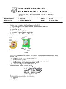 Soal Biologi Kelas 11 Semester 1 Beserta Jawabannya Dalchaebi