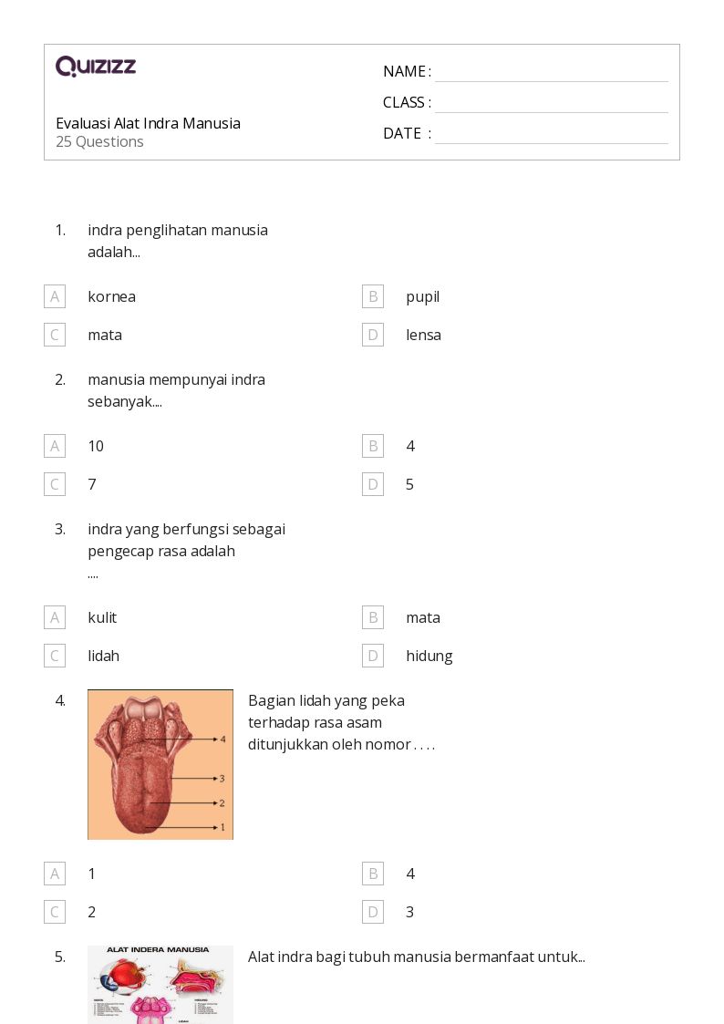 7 Latihan Soal Indera Manusia IPA Kelas 4 yang Wajib Dikuasai Sebelum Ulangan Akhir Semester 2026