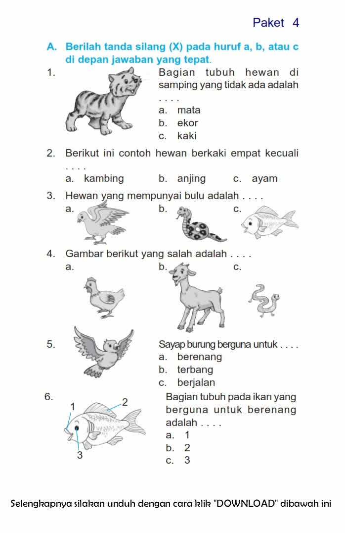 Akhirnya Terungkap 7 Soal Bahasa Indonesia Kelas 2 SD Semester 1 yang Sering Bikin Siswa Salah Jawab
