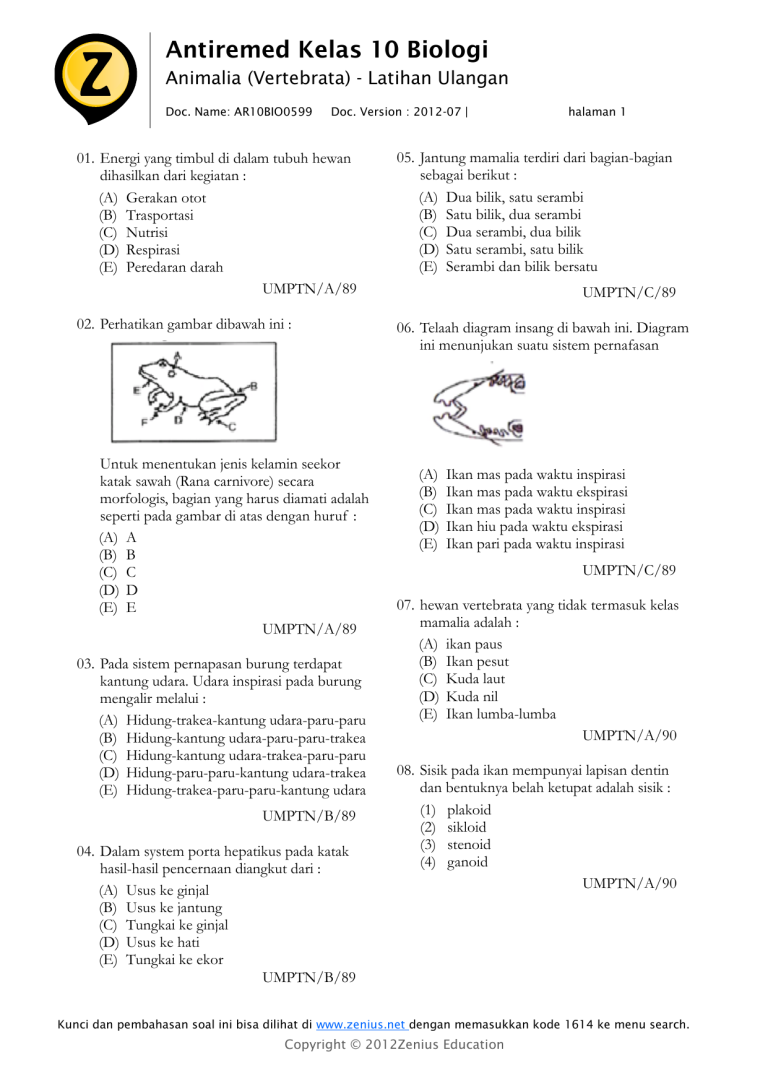 Soal Biologi Kelas 10 Semester 2 Ternyata Punya Pola Rahasia, Wajib Tahu Sebelum Ulangan Akhir Soal Biologi Kelas 10 Semester 2 Ternyata Punya Pola Rahasia, Wajib Tahu Sebelum Ulangan Akhir
