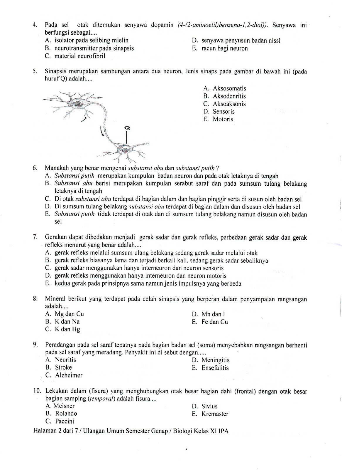 Biologi Kelas 10 Semester 2 - Piffle me