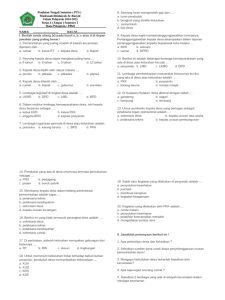 Soal PTS Kelas 4 Semester 1 2025 PDF